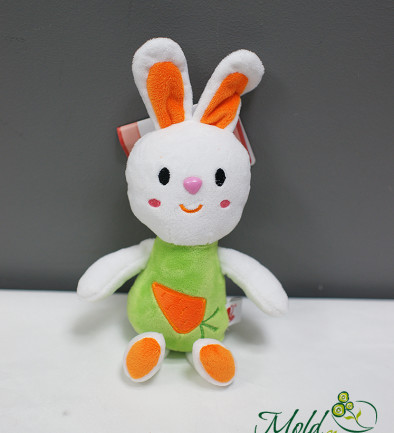 Зеленый кролик Зиго  h=20 см Фото 394x433